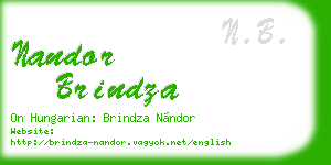 nandor brindza business card